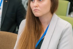 MAA03713