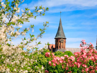 Киберустойчивость на Инфофоруме-Калининград этой весной