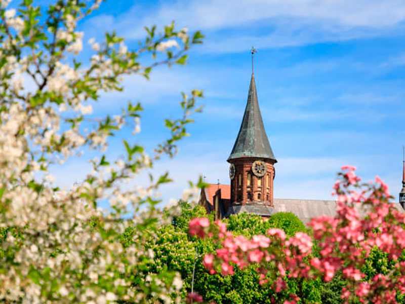 Киберустойчивость на Инфофоруме-Калининград этой весной